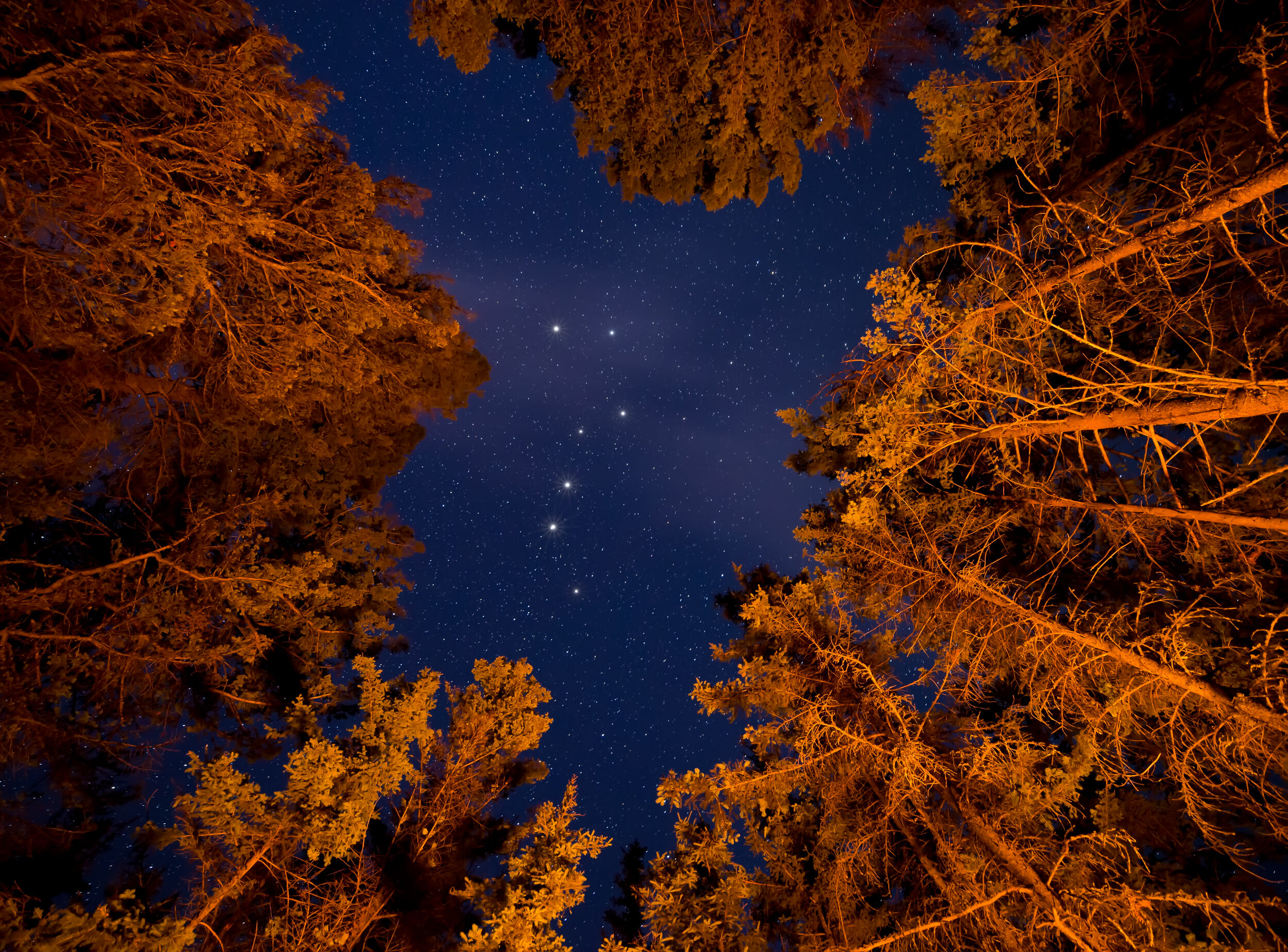 The Seven Sisters and the Bear: The Many Names of the Big Dipper