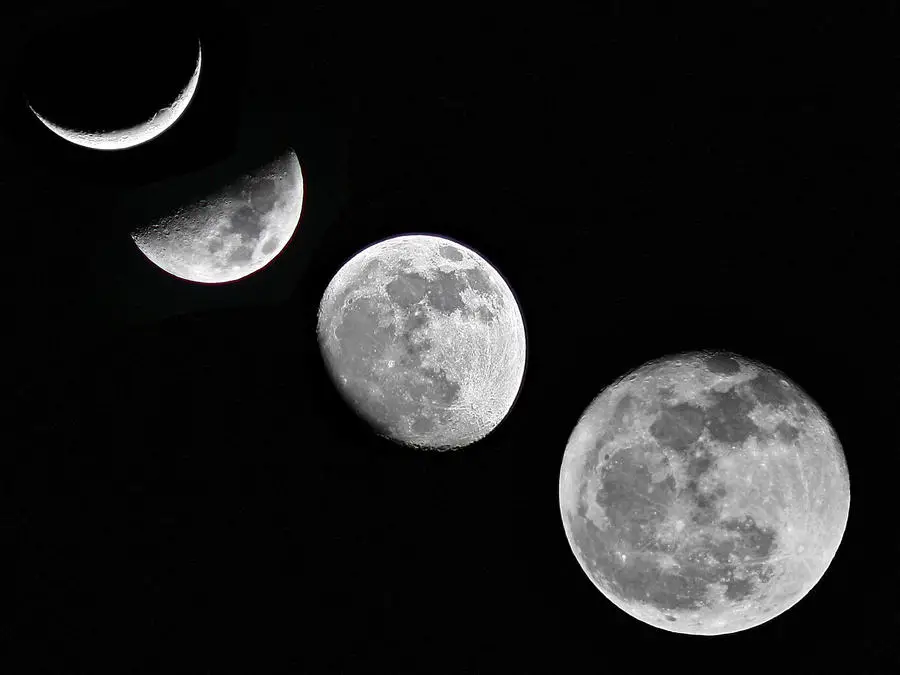 Seasonal garden scenes aligned with moon phases and zodiac signs for the year 2025