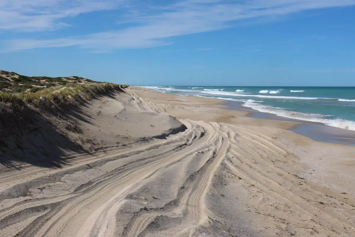 A mesmerizing view of the beaches, landscapes, and wildlife in Australia during November.