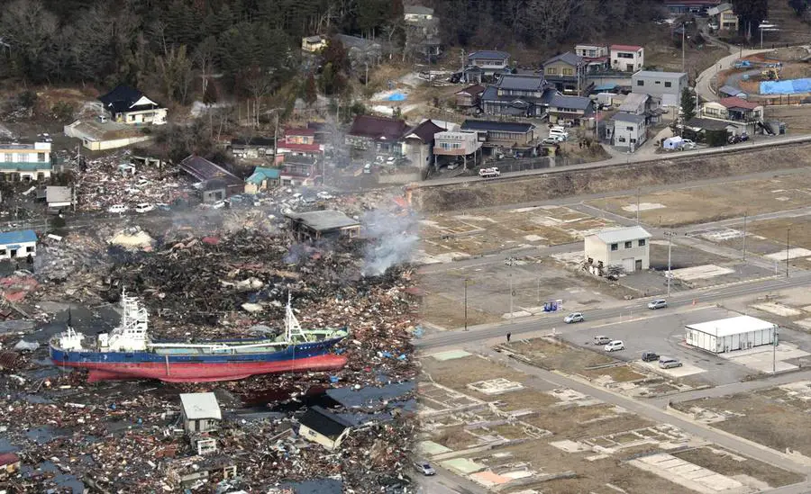 A damaged coastal ecosystem in Japan showing debris-filled water, uprooted vegetation, and impacted marine life