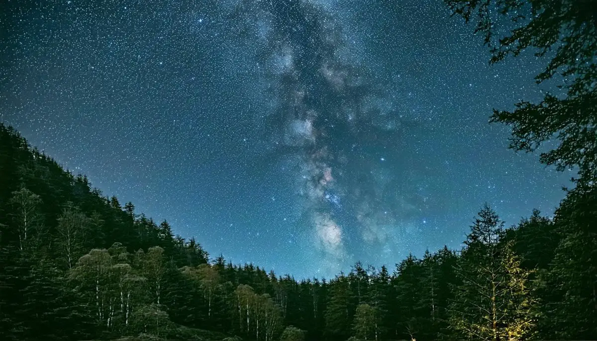 Dense forest of Galloway Forest Park with a clear view of the Milky Way and thousands of stars overhead