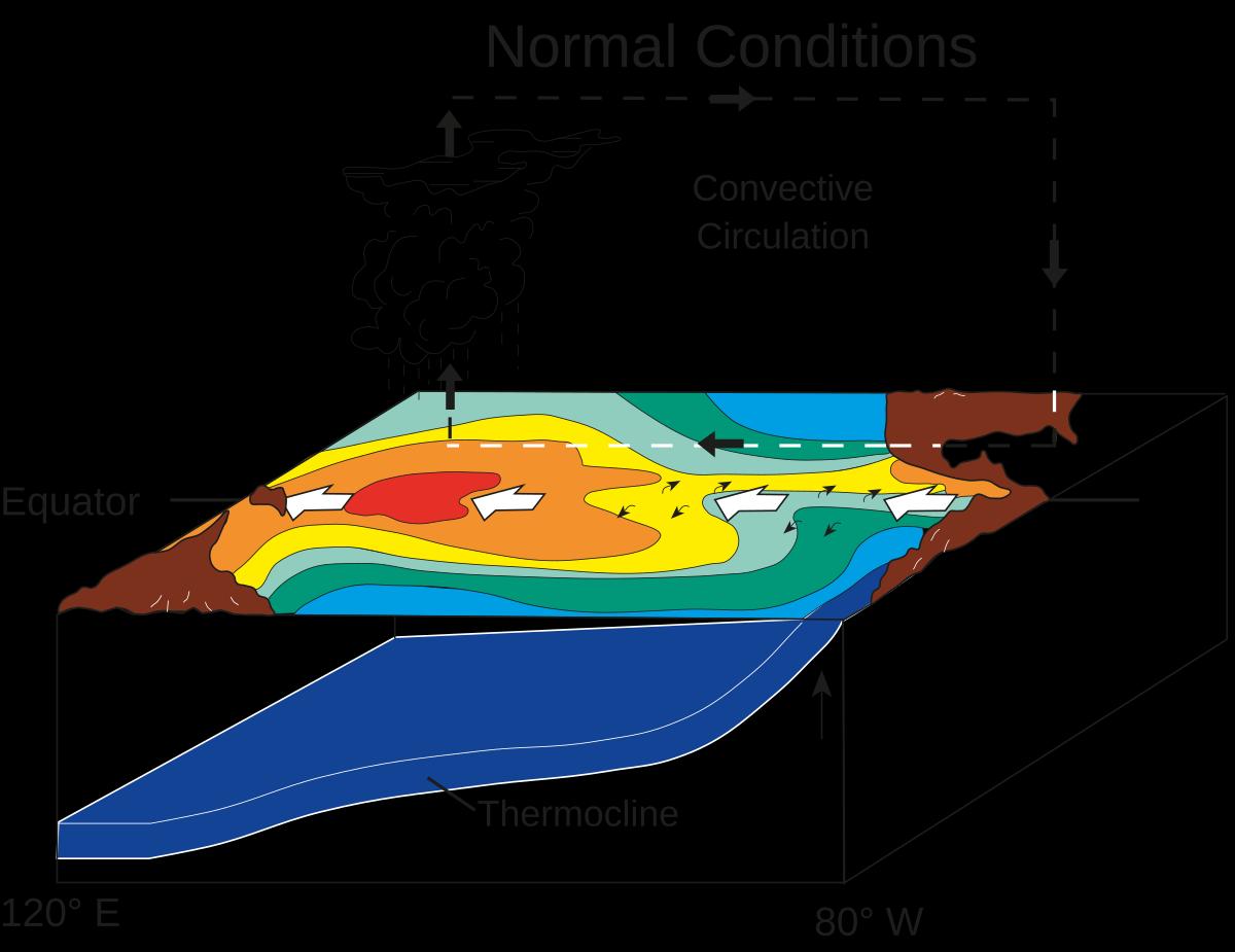 Visual representation of El Niño and La Niña patterns throughout Earth's history