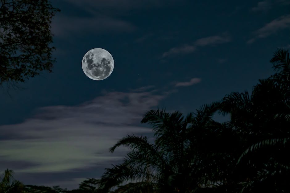 Image depicting moonlight shining through trees during the night