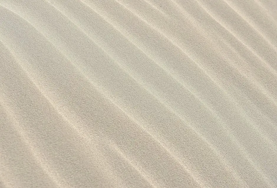 Desert landscape in Morocco in November, showing golden sand dunes and clear blue skies.